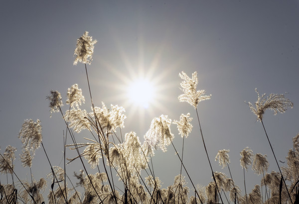 사진 :양성숙 편집위원